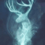 Prongs12